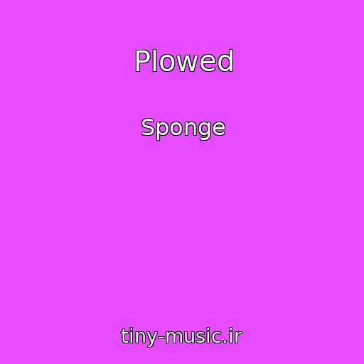 کاور آهنگ Plowed از Sponge