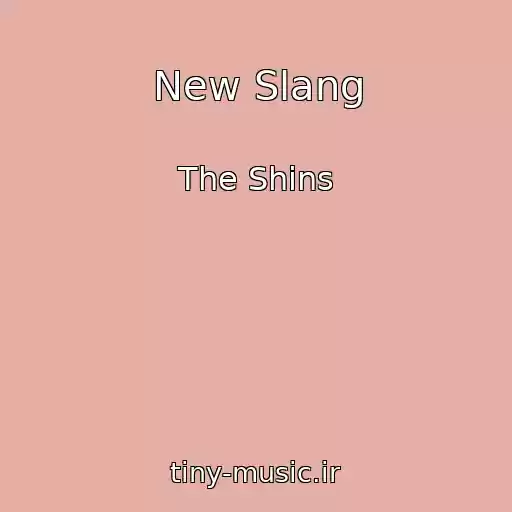 کاور آهنگ New Slang از The Shins