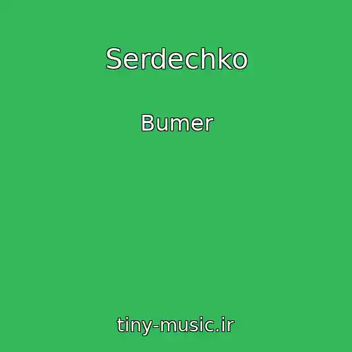 کاور آهنگ Serdechko از Bumer