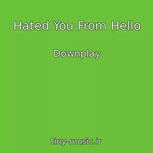 کاور آهنگ Hated You From Hello از Downplay