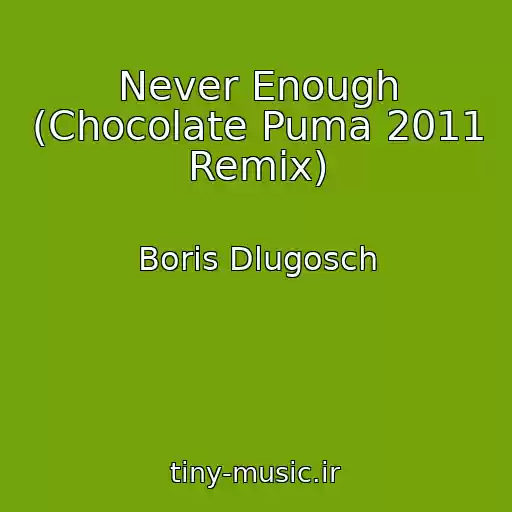 کاور آهنگ Never Enough (Chocolate Puma 2011 Remix) از Boris Dlugosch