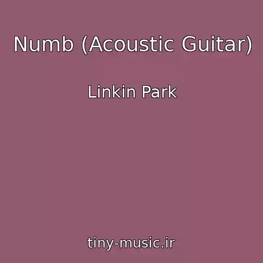 کاور آهنگ Numb (Acoustic Guitar) از Linkin Park