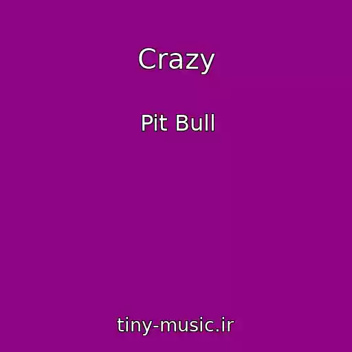 کاور آهنگ Crazy از Pit Bull