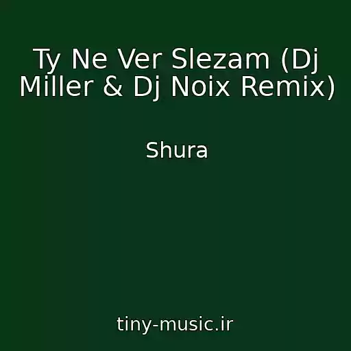 کاور آهنگ Ty Ne Ver Slezam (Dj Miller & Dj Noix Remix) از Shura