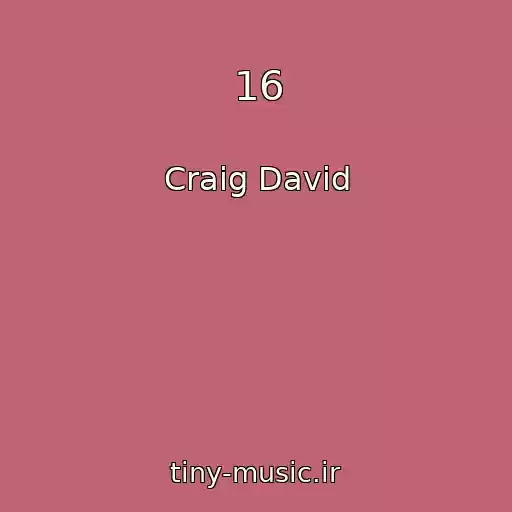 کاور آهنگ 16 از Craig David