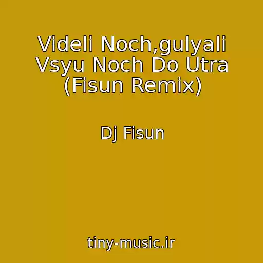 کاور آهنگ Videli Noch,gulyali Vsyu Noch Do Utra (Fisun Remix) از Dj Fisun