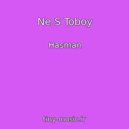 کاور آهنگ Ne S Toboy از Hasman