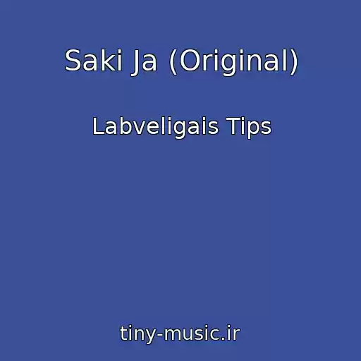 کاور آهنگ Saki Ja (Original) از Labveligais Tips