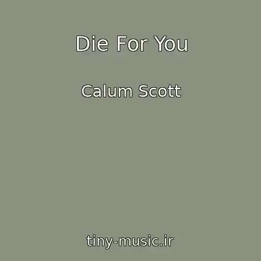 کاور آهنگ Die For You از Calum Scott