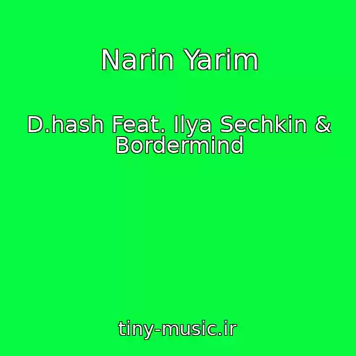کاور آهنگ Narin Yarim از D.hash Feat. Ilya Sechkin & Bordermind