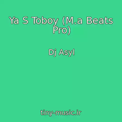 کاور آهنگ Ya S Toboy (M.a Beats Pro) از Dj Asyl