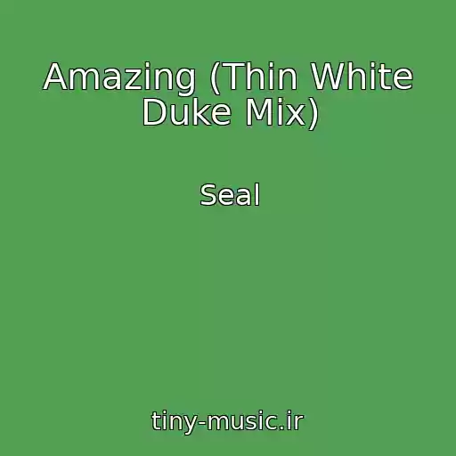 کاور آهنگ Amazing (Thin White Duke Mix) از Seal