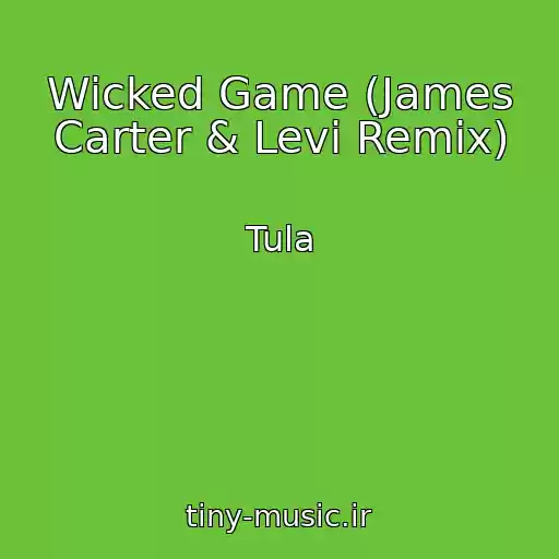 کاور آهنگ Wicked Game (James Carter & Levi Remix) از Tula