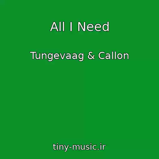 کاور آهنگ All I Need از Tungevaag & Callon