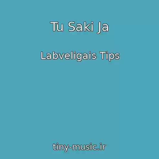 کاور آهنگ Tu Saki Ja از Labveligais Tips