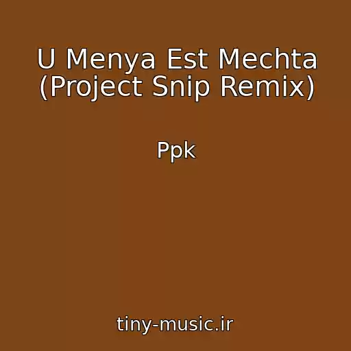 کاور آهنگ U Menya Est Mechta (Project Snip Remix) از Ppk