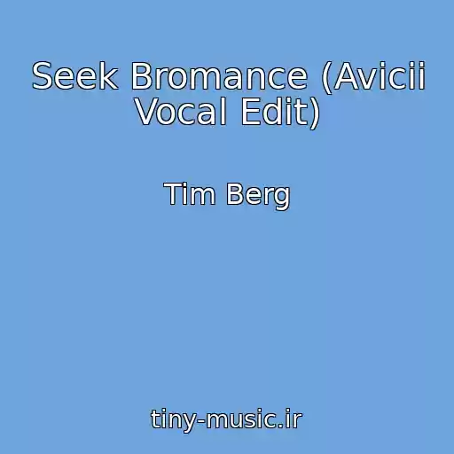 کاور آهنگ Seek Bromance (Avicii Vocal Edit) از Tim Berg