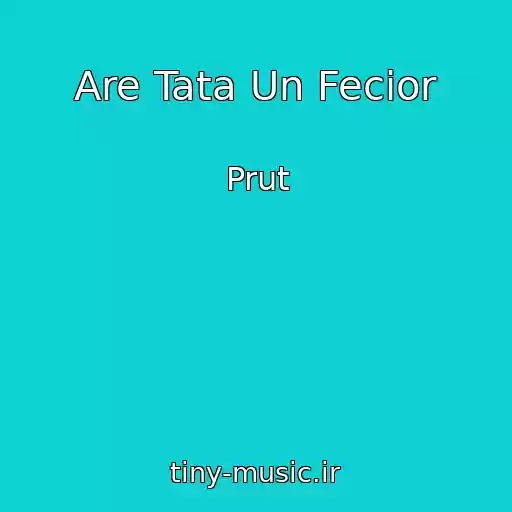 کاور آهنگ Are Tata Un Fecior از Prut