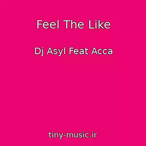 کاور آهنگ Feel The Like از Dj Asyl Feat Acca
