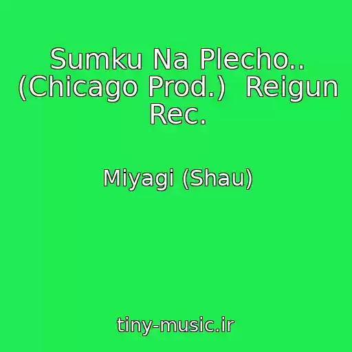 کاور آهنگ Sumku Na Plecho.. (Chicago Prod.)  Reigun Rec. از Miyagi (Shau)