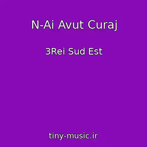 کاور آهنگ N-Ai Avut Curaj از 3Rei Sud Est