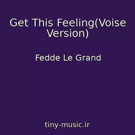 کاور آهنگ Get This Feeling(Voise Version) از Fedde Le Grand
