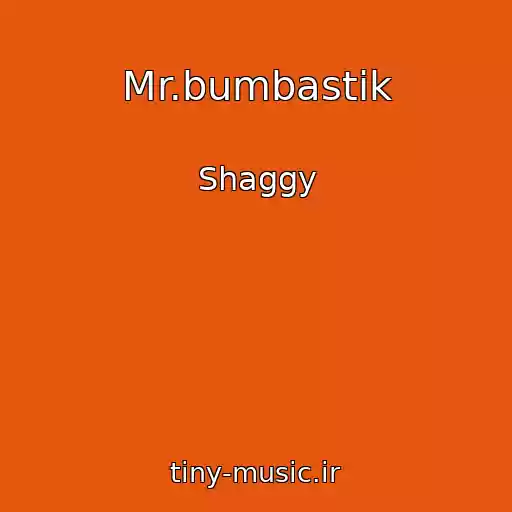 کاور آهنگ Mr.bumbastik از Shaggy