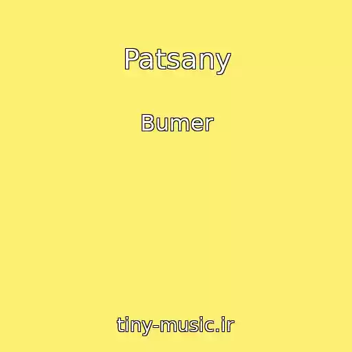 کاور آهنگ Patsany از Bumer