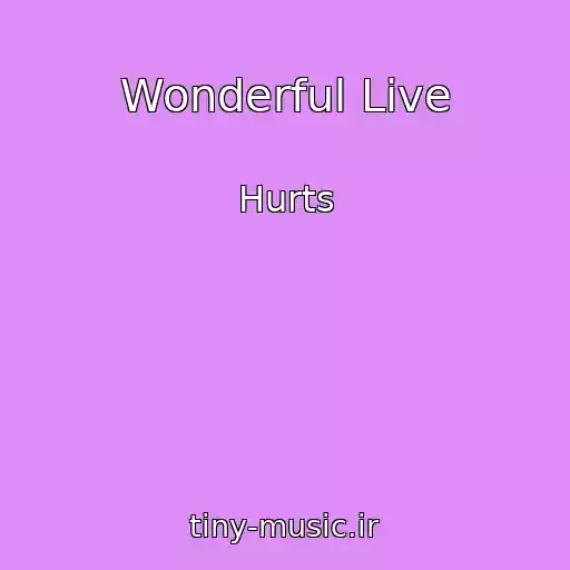 کاور آهنگ Wonderful Live از Hurts