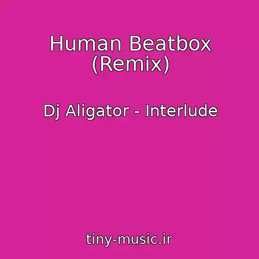 کاور آهنگ Human Beatbox (Remix) از Dj Aligator - Interlude
