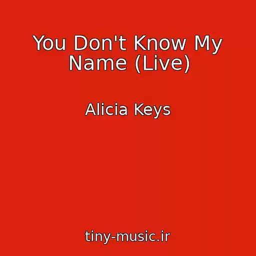 کاور آهنگ You Don't Know My Name (Live) از Alicia Keys
