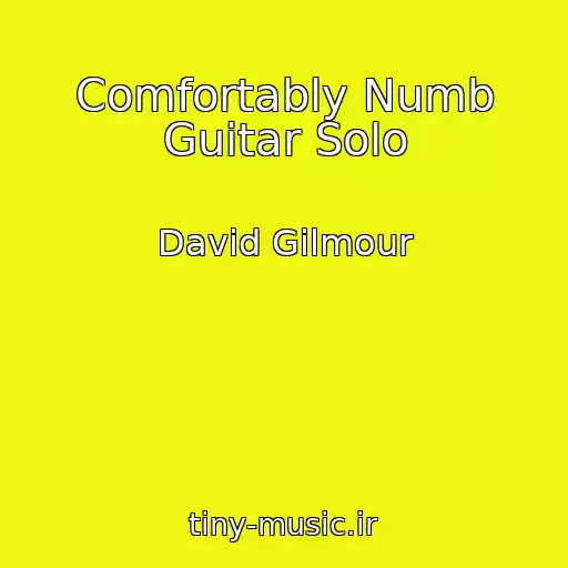 کاور آهنگ Comfortably Numb Guitar Solo از David Gilmour