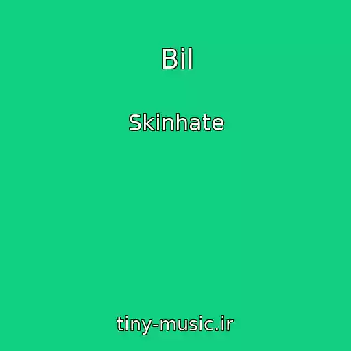کاور آهنگ Bіl از Skinhate