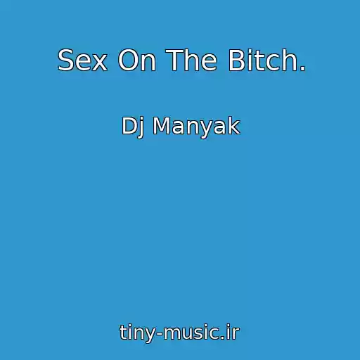کاور آهنگ Sex On The Bitch. از Dj Manyak