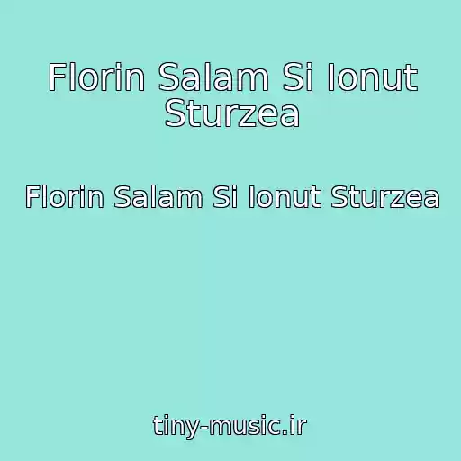 کاور آهنگ Florin Salam Si Ionut Sturzea از Florin Salam Si Ionut Sturzea