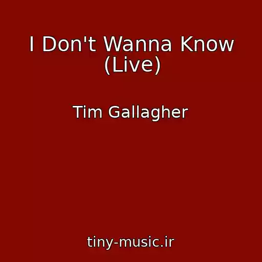 کاور آهنگ I Don't Wanna Know (Live) از Tim Gallagher