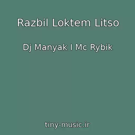 کاور آهنگ Razbil Loktem Litso از Dj Manyak I Mc Rybik