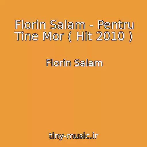 کاور آهنگ Florin Salam - Pentru Tine Mor ( Hit 2010 ) از Florin Salam