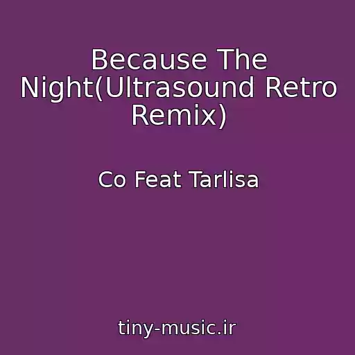 کاور آهنگ Because The Night(Ultrasound Retro Remix) از Co Feat Tarlisa