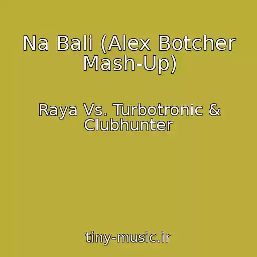 کاور آهنگ Na Bali (Alex Botcher Mash-Up) از Raya Vs. Turbotronic & Clubhunter
