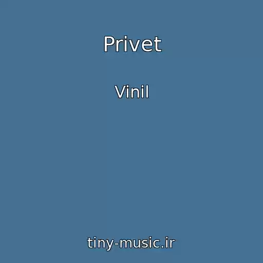 کاور آهنگ Privet از Vinil
