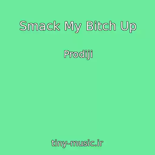 کاور آهنگ Smack My Bitch Up از Prodiji