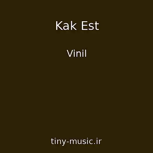 کاور آهنگ Kak Est از Vinil