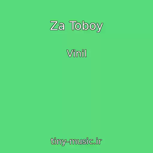 کاور آهنگ Za Toboy از Vinil