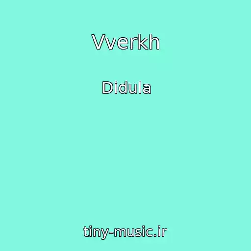 کاور آهنگ Vverkh از Didula