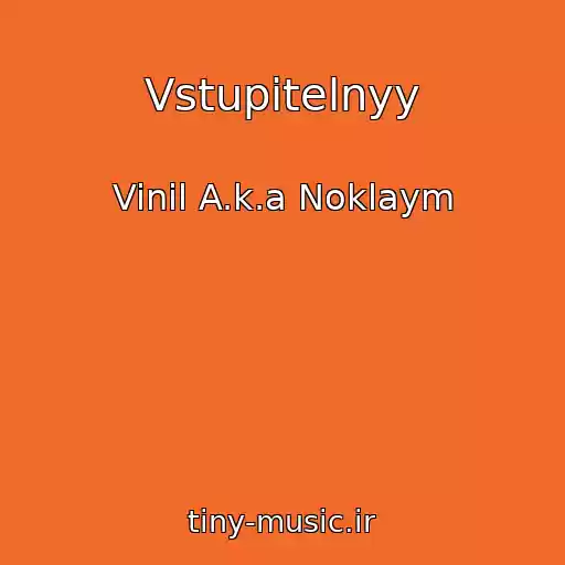 کاور آهنگ Vstupitelnyy از Vinil A.k.a Noklaym
