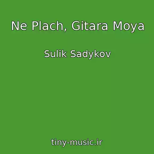 کاور آهنگ Ne Plach, Gitara Moya از Sulik Sadykov