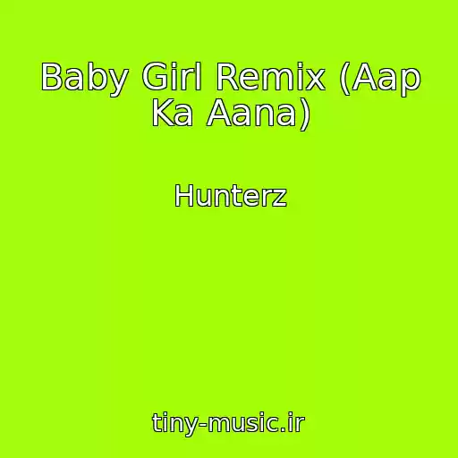 کاور آهنگ Baby Girl Remix (Aap Ka Aana) از Hunterz