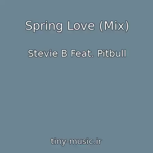 کاور آهنگ Spring Love (Mix) از Stevie B Feat. Pitbull