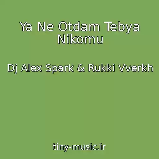 کاور آهنگ Ya Ne Otdam Tebya Nikomu از Dj Alex Spark & Rukki Vverkh